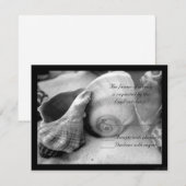 coquillages sable blanc bw rsvp (Devant / Derrière)