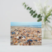 Coquillages sur la carte de poste de plage (Debout devant)