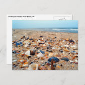 Coquillages sur la carte de poste de plage (Devant / Derrière)