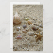 Coquillages sur la papeterie de plage (Devant / Derrière)