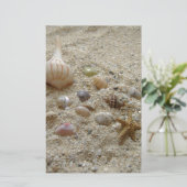 Coquillages sur la papeterie de plage (Debout devant)