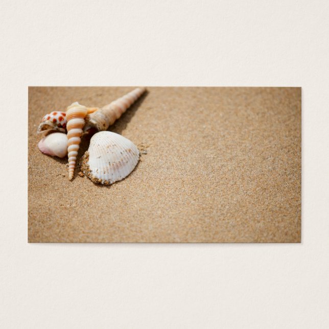Coquillages sur la plage (Devant)