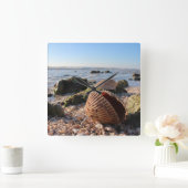 Coquillages sur la plage en Floride horloge murale (Maison)