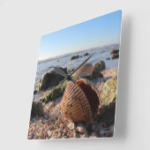 Coquillages sur la plage en Floride horloge murale (Angle)