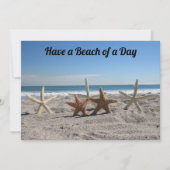 Coquillages sur la plage - Florida Life - Carte Pl (Devant)