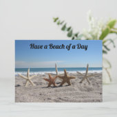 Coquillages sur la plage - Florida Life - Carte Pl (Debout devant)