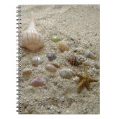 Coquillages Sur Le Journal D'Écriture De Sable Sur (Devant)