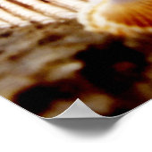 Coquillages sur le rivage.. Impression (Coin)