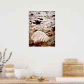 Coquillages sur le rivage.. Impression (Cuisine)