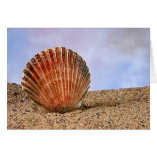 Coquille de claquage