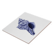 Coquille de conque bleu et blanc carreaux de céram (Côté)