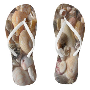 Coquille des tongs