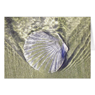 Coquille d'huître sous-marine