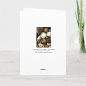 Coquille D'Une Grande Carte De Fête des pères Papa (Dos)