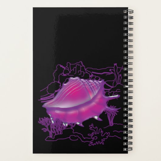 Coquille marine rose (Dos)