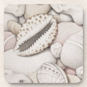Coquilles de cauri et d'ormeau et dessous de verre