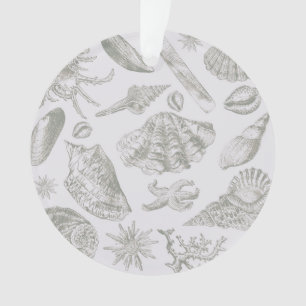 Coquilles de mer gris sauge doux croquis Antique N