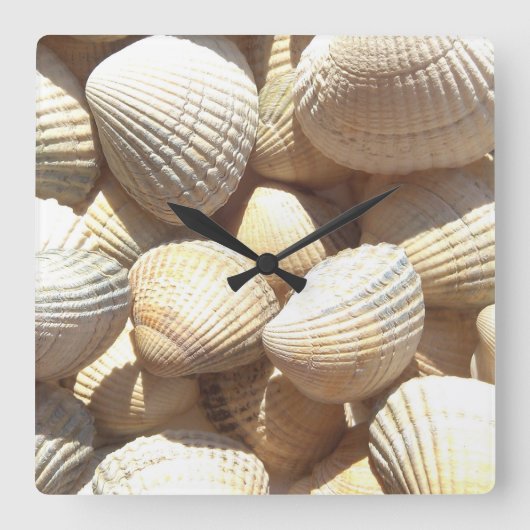 Coquilles de mer, plage d'été Horloge tropicale ex (Recto)