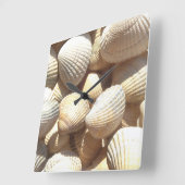 Coquilles de mer, plage d'été Horloge tropicale ex (Angle)