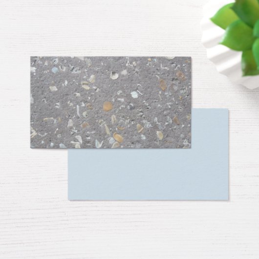 Coquilles marines en béton (Bureau)