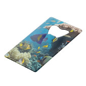 Corail et poissons en Mer Rouge, Egypte (Dos Angle)