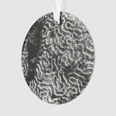 Corail noir et blanc I Abstrait Nature Photo (devant)