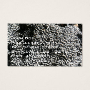 Corail noir et blanc I Abstrait Nature Photo