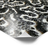 Corail noir et blanc II Abstrait Nature Photo (Coin)