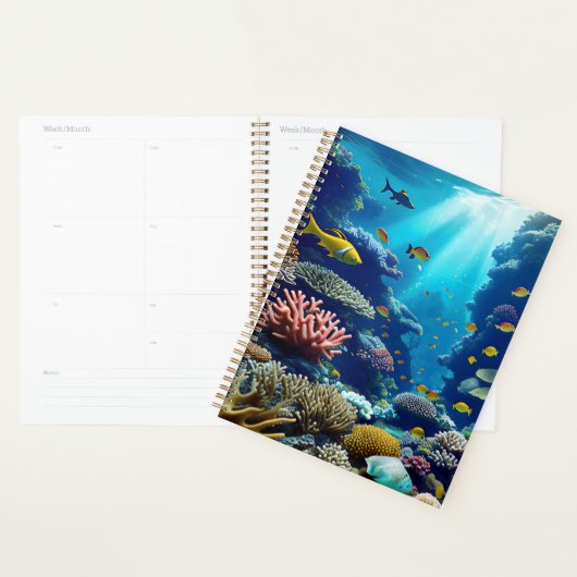 Corail Reef (Devant avec enveloppe)