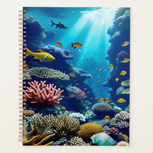 Corail Reef (Devant)