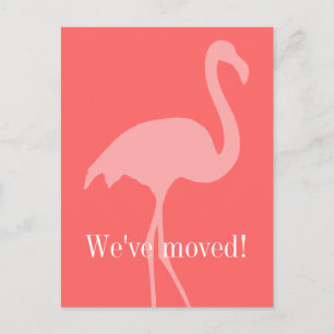 Corail rose flamingo cartes postales mobiles pour