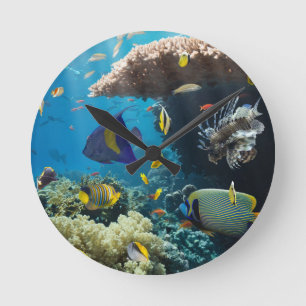 Coral and fish in the Red Sea, Egypt Ronde Klok