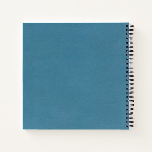 Coral & Blue Custom Gratitude Journal Notitieboek (Achterkant)