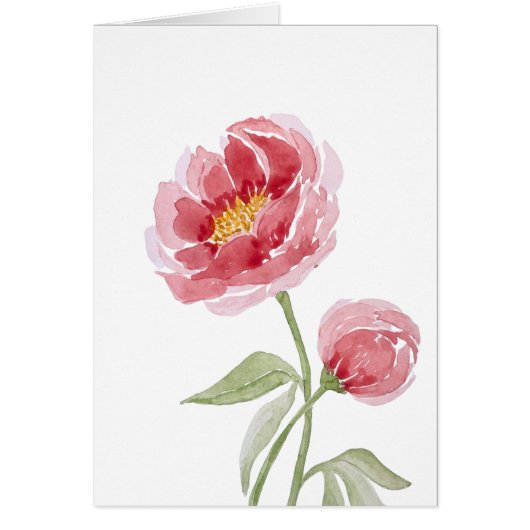 Coral Charm Peony waterverf (Voorkant)