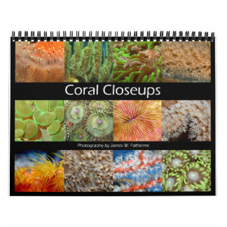 Coral Closeups Wall Calendar van J.W. Fatherree. Kalender