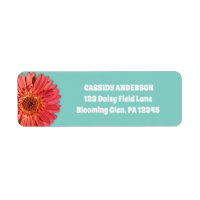 Coral Colored Gerbera Daisy Photo Mint Green