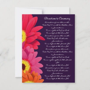 Coral Fuchsia Eggplant Gerber Daisy Direction Kaar Kaart