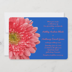 Coral Gerbera Daisy Royal Blue Wedding Invitation Kaart