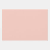 Coral Gingham Inpakpapier Vel (Voorkant 3)