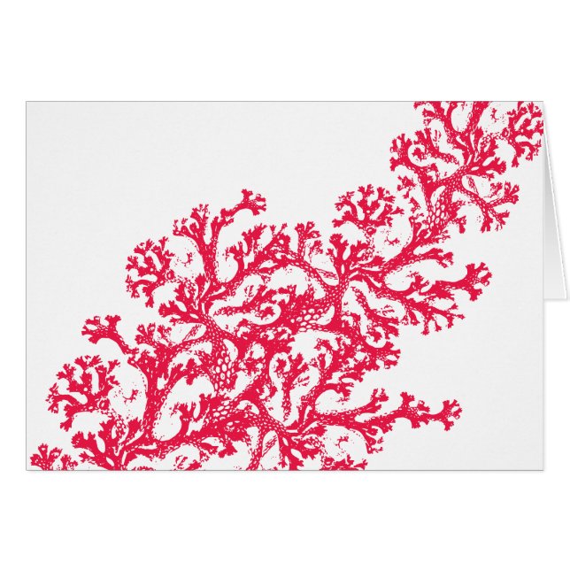 Coral Motif (Voorkant Horizontaal)