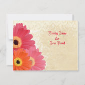 Coral & Orange Gerber Daisy Faire-part de mariage (Dos)
