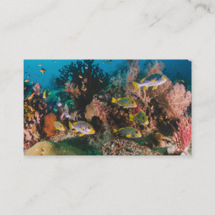 Coral Reef aangepaste visitekaartjes