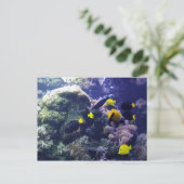 Coral-reef fotobriefkaart briefkaart (Staand voorkant)