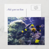 Coral-reef fotobriefkaart briefkaart (Voorkant / Achterkant)