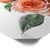 Coral Rose Flower Art Imprimer Poster (Coin)