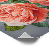 Coral Rose Flower Art Imprimer Poster (Coin)