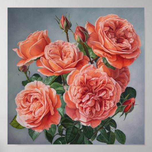 Coral Rose Flower Art Imprimer Poster (Devant)