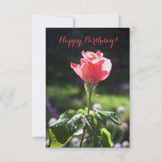 Coral Rose, Joyeux Anniversaire !, Carte de Person (Devant)