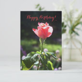 Coral Rose, Joyeux Anniversaire !, Carte de Person (Debout devant)