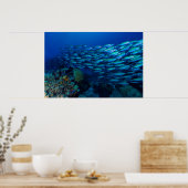 Coral Zee Tropical Fish School Poster (Keuken)